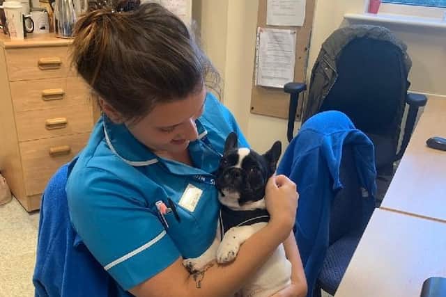 Picture: https://www.gofundme.com/f/t8d5d-bring-jess-home