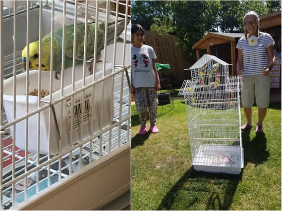 A Chron appeal led to a little girl reuniting with her lost pet budgie.