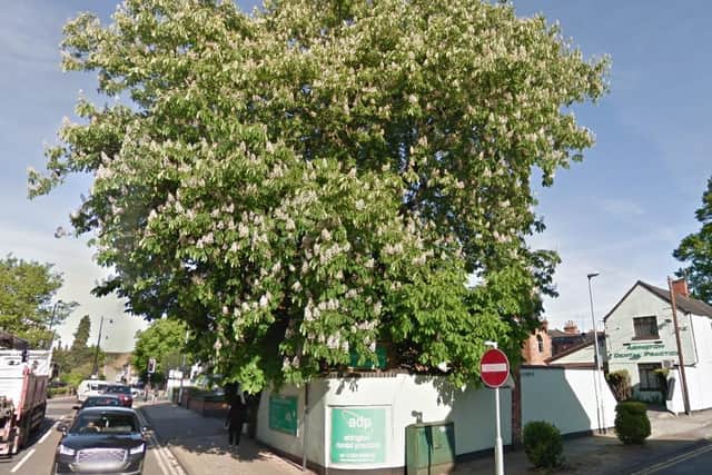 A debate has flared up over the future of a horse chestnut tree in Northampton town centre.
