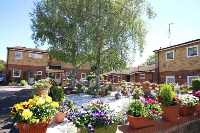 Residents are encouraged to share pictures as their seeds grow.