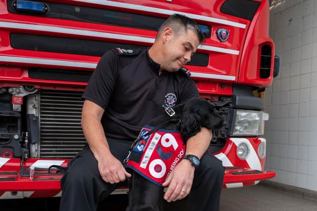Olive's first day on the job with handler Mark Foster
