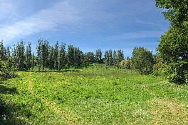 The proposed site for the Hardingstone Bike Park on a disused part of Delapre Golf Course. Photo: Tony Skirrow