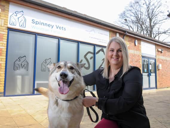 Caroline Longdon, practice manager from Spinney Vets, says there are plenty of steps you can take to keep your pet calm and safe