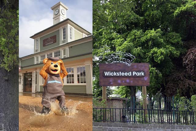 Wicky Bear gets into the splashing spirit