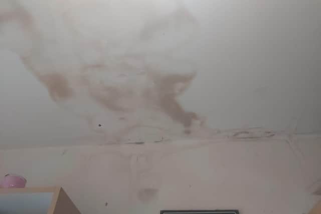 The family could see the strain on the ceiling long before it gave way