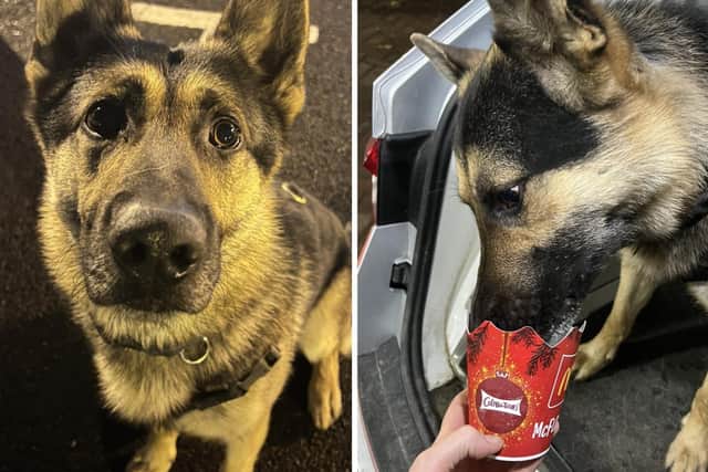 PD Bryn earned his special treat by tracking down two suspects after a mile-and-a-half trek.
