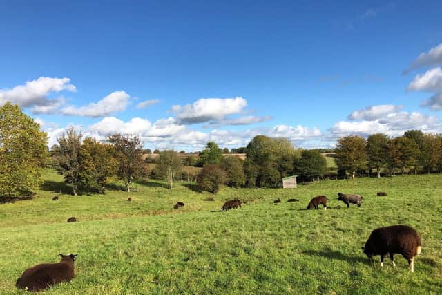 Scenic view near Hinton in the Hedges