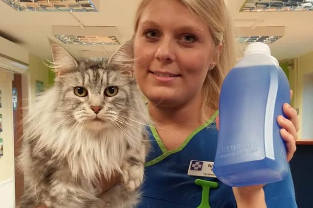 White Cross Vets Nurse Nicola Bond with pet cat Poppy