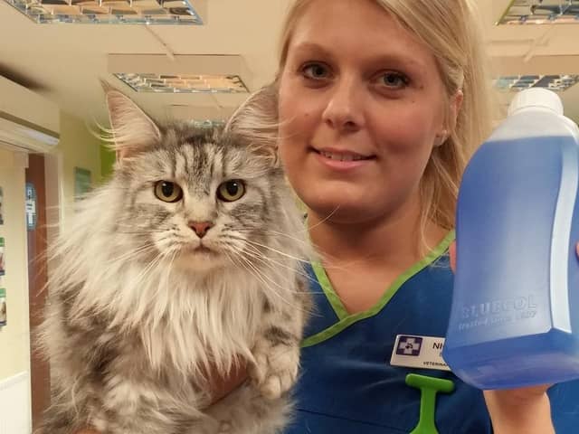 White Cross Vets Nurse Nicola Bond with pet cat Poppy