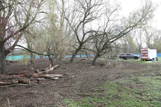 The search site today.