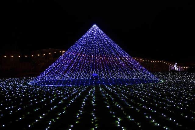 The Winter Light Trail at Delapre Abbey. Photo: Kirsty Edmonds.