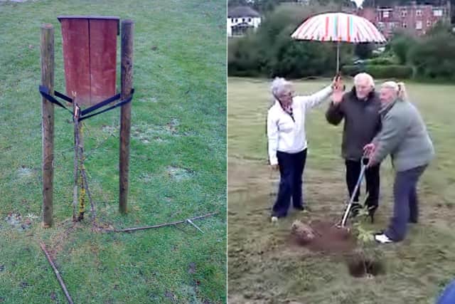 The vandalised Queen's Jubilee oak tree in Roade (left) and when it was planted by Harry Webster in 2012 (right).