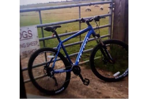 The blue Carrera Vulcan mountain bike