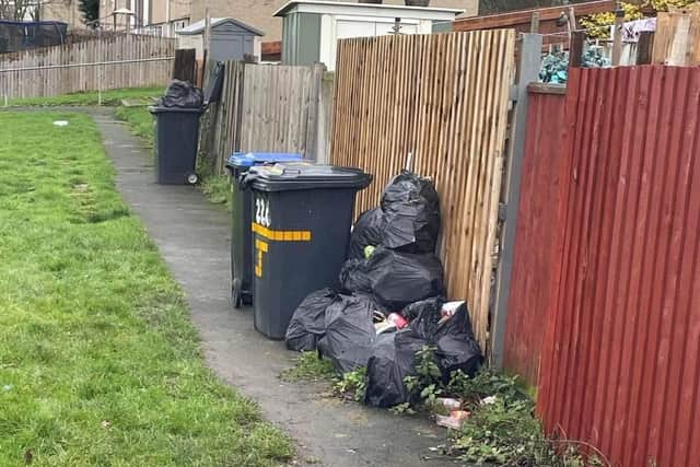 The rubbish builds up.