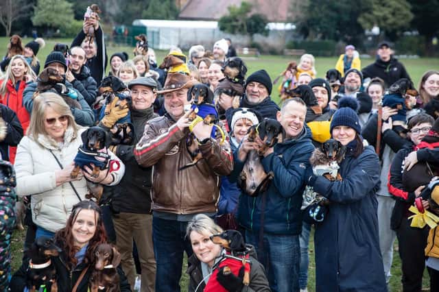 The Northamptonshire Dachshund Walk at Abington Park on Saturday, January 22, 2022. Photo by Kirsty Edmonds.