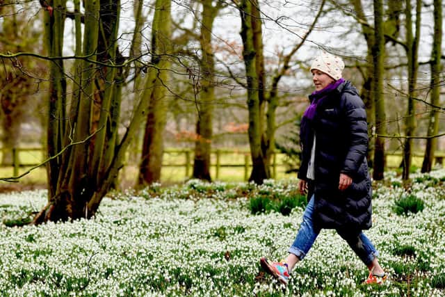 Walk everywhere is one way of keeping fit on the cheap