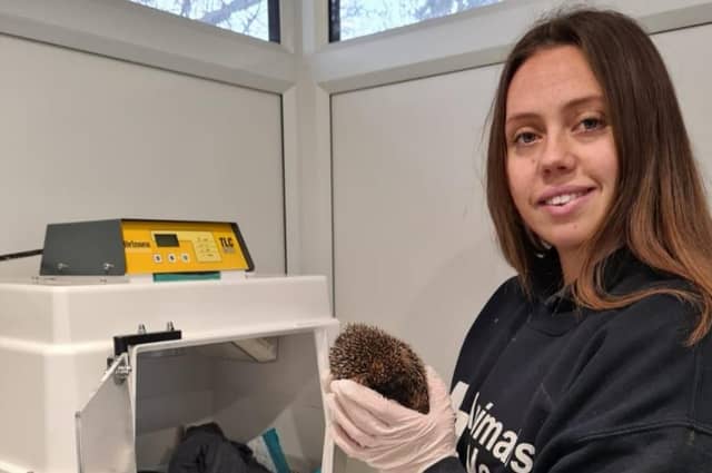 Lizzie Collins, Wildlife Manager at Animals In Need.