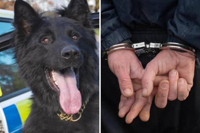 Two men were arrested on suspicion of assault after being tracked down by PD Mac