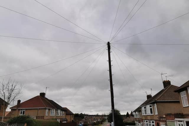 This is what the pole outside Mrs Calvey's home will look like when it has had wires attached to it