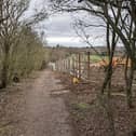 Vistry has felled trees and put a fence up along the footpath