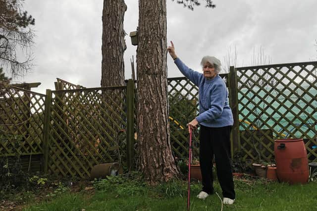 Olive Crutchley wants the council to make the two protected pine trees in her back garden safe