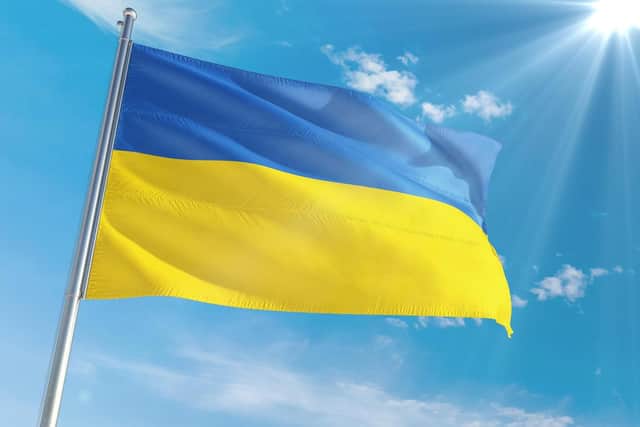 The school will host a 'Ukraine Day'. (File picture).