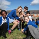 Children from all year groups helped to plant 105 trees in the school grounds. Photo: Kirsty Edmonds.
