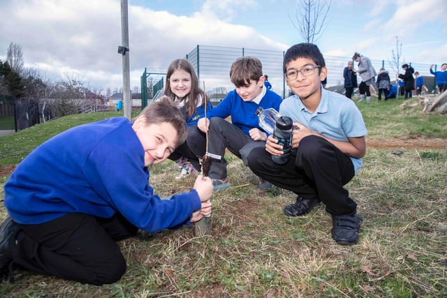 Children from all year groups helped to plant 105 trees in the school grounds. Photo: Kirsty Edmonds.