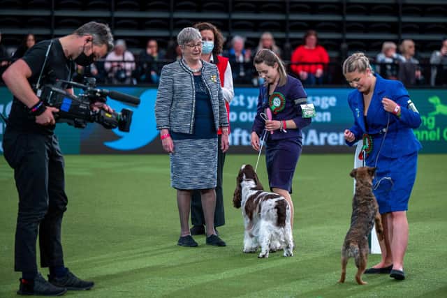 Georgia Brown, 21, with her six-year-old Springer Spaniel, Nancy.