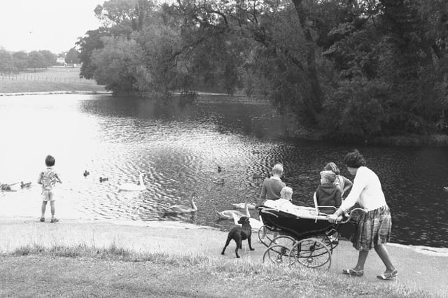 Abington Park from the Chron archives