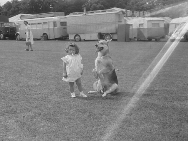 Abington Park from the Chron archives