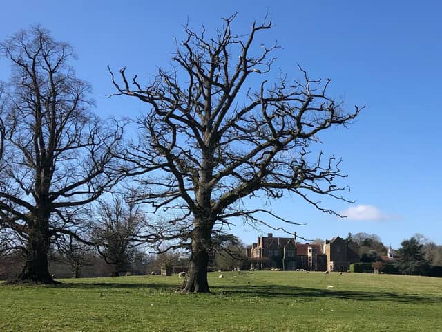 Take time to appreciate and enjoy our beautiful, sunny countryside when you can ... such as the grounds around Fawsley Hall