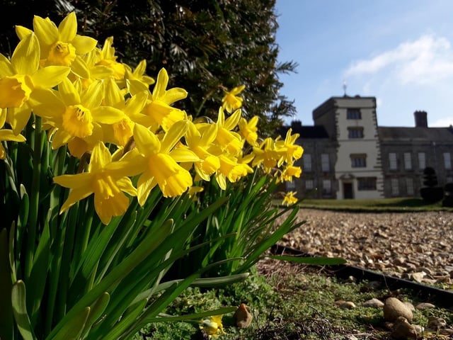 Discover a family-friendly trail in Canons Ashby parkland with fun activities for you to do along the way. Pick up your activity pack to find the bespoke trail you’re going to follow. Find and complete the ten nature inspired activities that are hiding along the way. 'Spot the signs of spring', 'Wibble and wobble' and 'Wake the wild things' are just some of the activities you can experience. Complete the trail and earn your Rainforest Alliance chocolate egg at the end. Easter trail runs from Friday 15 - Monday 18 April from 10am with last entry at 4pm and costs £3 per trail.