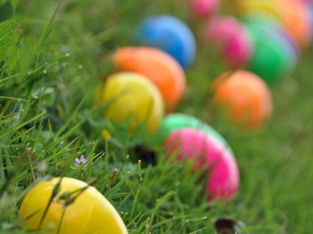 Join us for a special Easter trail around Abington Park Museum. Follow the Easter bunny to find hidden eggs, enjoying games and crafts along the way. Complete the trail to win a chocolatey egg prize. Drop in, no booking required, £2 per trail.