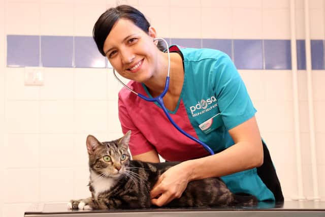 Ensuring your pet gets the best care PDSA (photo: Alex Cantrill-Jones/ACJ Media)
