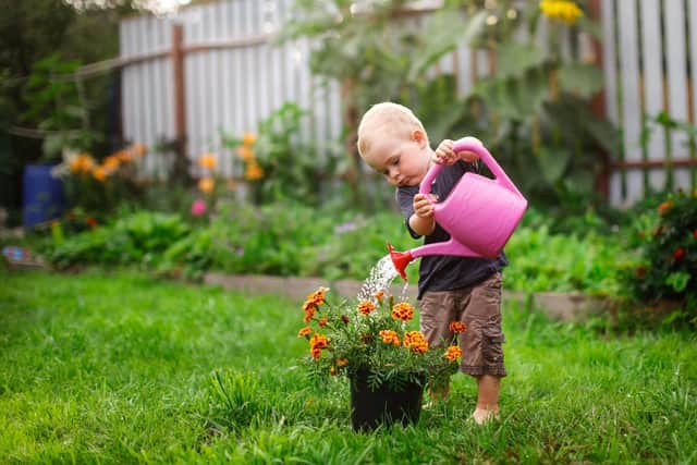 The tips will create a vibrant yet relaxing area in your garden space with advice including protecting your lawn from the hot conditions