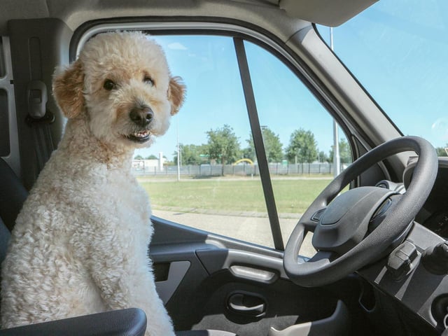 All ready to rev up and go...