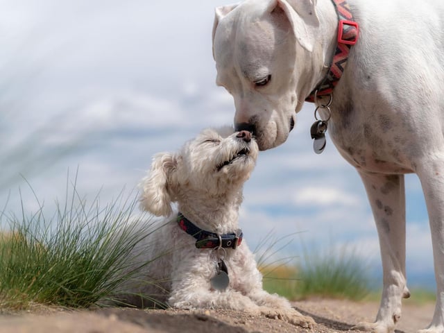 Old friends or accquaintances...