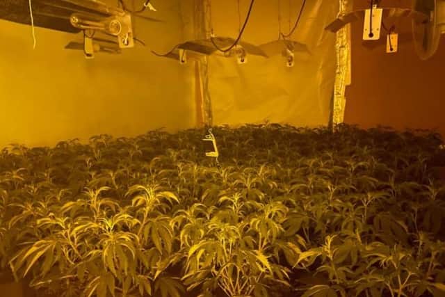 Officers discovered four rooms had been converted to grow cannabis plants worth up to £200,000 Photo @Nptonpolice