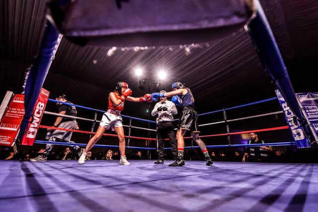 Picture: Ultra White Collar Boxing
