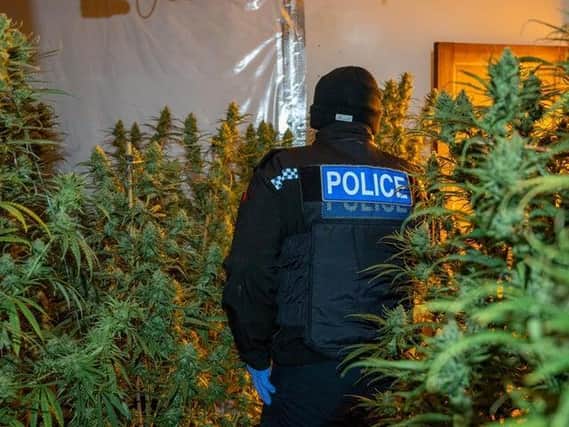 Police arrested Lavdrim Lleshi as he attempted to escape through the window of a cannabis farm in Allen Road. File photo.