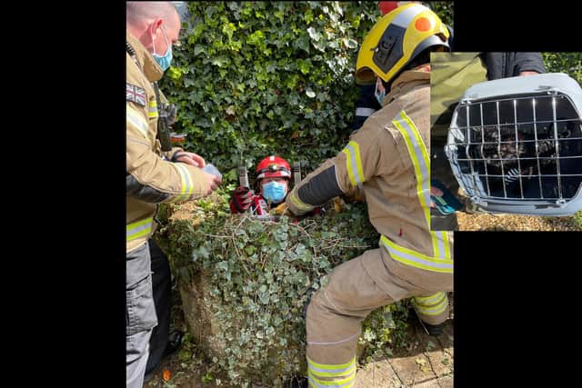 A firefighter in the well and Flea the car (inset)