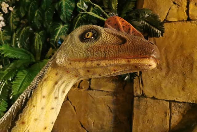 The restaurant is dinosaur themed throughout