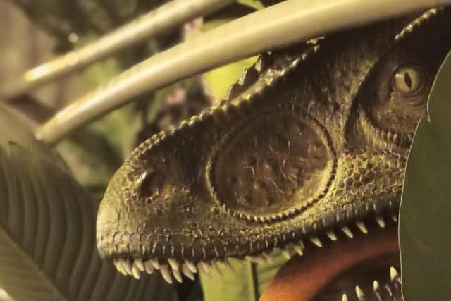 Jurassic Grill is opening at Rushden Lakes later this month