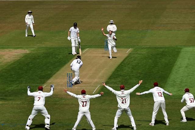 Northants appeal for a wicket