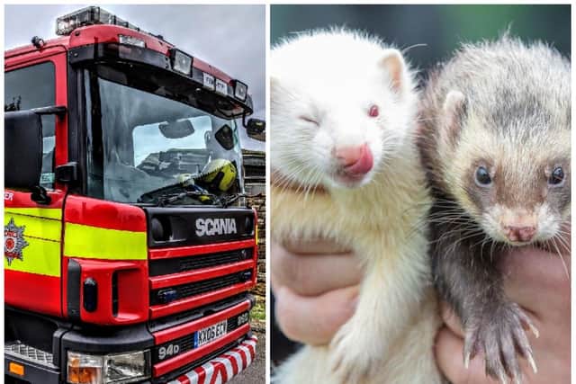Daventry firefighters rushed to rescue a ferret stuck in a cage