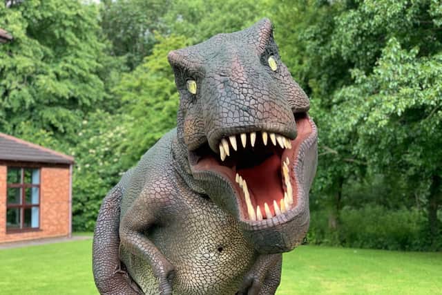 Dinosaurs are coming to Northampton town centre this summer.