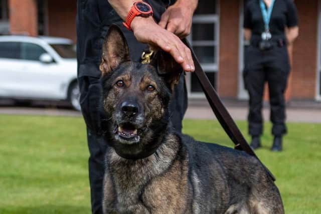 PD Nala is retiring from Northamptonshire Police after seven years on the job.