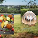 Pop-up Partners are hosting an igloo dining experience in the Nene Valley