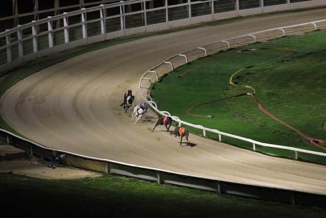 Greyhound racing at Towcester Racecourse. Picture: Towcester Racecourse